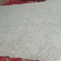 گلیم فرش|گلیم، جاجیم، گبه|آبپخش, |دیوار