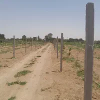 باغچه نقلی فنس شده ۷۵۰ متری تاکستان|فروش زمین و ملک کلنگی|کرج, کرج نو|دیوار