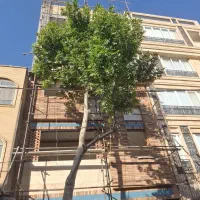 120m/کارخانه قند/تک واحدی/پیش خرید مطمئن/سه خواب