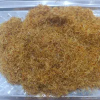 ریشه زعفران