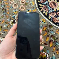 ایفون۱۳|موبایل|مشهد, امیر|دیوار