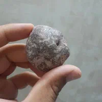 گوهر  شب چراغ طبیعی