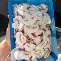 پخش قارچ سالم و اسلایس درجه یک مستقیم از شرکت|خوردنی و آشامیدنی|رباط‌کریم, حصار مهتر|دیوار