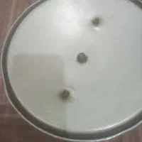 زودپز قابلمه ای|ظروف پخت‌وپز|اندیمشک, |دیوار