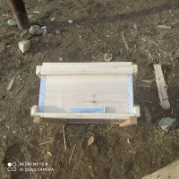 کندو وطبق|حیوانات مزرعه|بوکان, |دیوار