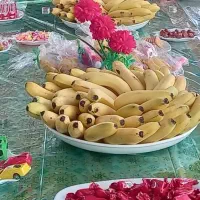 کربلا ۷روزه|تور و چارتر|نظرآباد, شهرک آزادگان|دیوار
