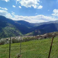 زمین