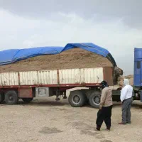 کاه گندم رفت کاه نیشکر آمده برداشت ۴۰۴|عمده‌فروشی|کرمانشاه, |دیوار