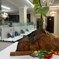 جذب نیرو پذیرش خانم و اقا