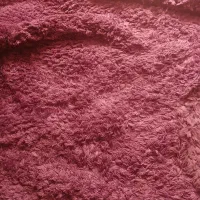 گلیم فرش و موکت