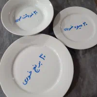 چینی درجه ۳  ساده  سفید|ظروف سرو و پذیرایی|بانه, |دیوار