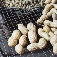 بادام زمینی غلاف دار آلیرام