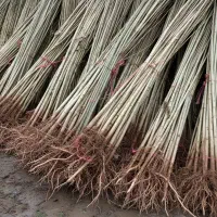 یک گام به سوی کشاورزی مدرن و سودآور