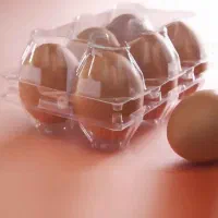 ظرف مخصوص تخم مرغ گلپایگانی و ..،طراحی و چاپ لیبل|ظروف نگهدارنده، پلاستیکی، یک‌بارمصرف|شهریار, شهرک امیریه|دیوار