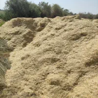 کاه عمده زهکلوت