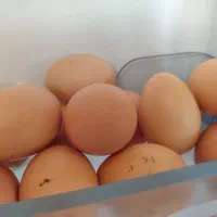 تخم مرغ محلی
