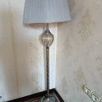 آباژور ایستاده سالم