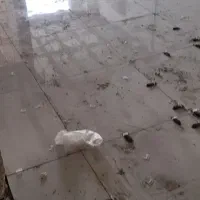 کاشی ایرلند نانو پولیش