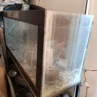 //آکواریوم همراه با پایه و تمام متعلقات//