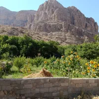 باغ ۲۰۰۰متری اخلمد