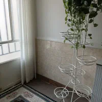 استند گل