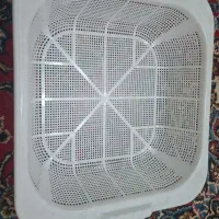 گربه عکس های بعدی|گربه|کوهدشت, |دیوار