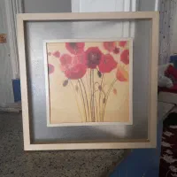 قاب زیبا