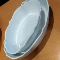 ظرف پذیرایی