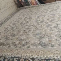 فرش نو 12متری