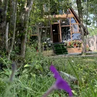 اجاره روزانه|اجارهٔ کوتاه‌مدت ویلا و باغ|شاندرمن, |دیوار