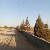 ۶۰۰۰ متر زمین نصف پسته کاری شده ،نصف خالی|فروش زمین و ملک کلنگی|جوادآباد, |دیوار