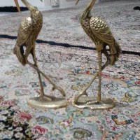 قو برنز