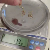 طلا . گوشواره ستاره ای بدون اجرت|جواهرات|قرچک, مهدیه|دیوار