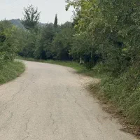 ۱۰۰۰ متر زمین باغ میوه در بابلکنار|فروش دفتر صنعتی، کشاورزی، تجاری|مرزیکلا, |دیوار