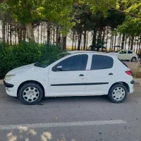 ماشبن ۲۰۶ تیپ دو مدل ۹۰ شاسی ها پلمپ دو کف دست رنگ