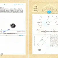 243-متر-زمین-جنوبی-خیابان-درختی