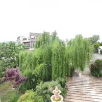 خونه باغ سرسبز مشجر* زیر قیمت کارشناسی|فروش خانه و ویلا|چمستان, |دیوار