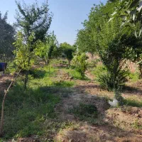 باغ|فروش خانه و ویلا|قرچک, صالح آباد|دیوار