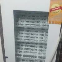 دستگاه جوجه کشی اتوماتیک