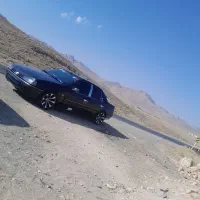 رینگ اسپرت