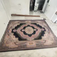 یک عدد فرش بفروش می رسد|فرش|بندرعباس, |دیوار