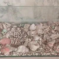 اکواریم با لوازم کامل قیمت توافقی