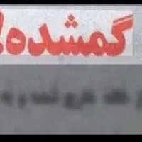 یککیف پول حاوی مدارک به اسم اشکان قطبی گم شده