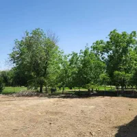 باغ در تفرش