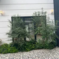 فروش ویلا مدرن ۴ خواب با دسترسی عالی|فروش خانه و ویلا|هچیرود, |دیوار