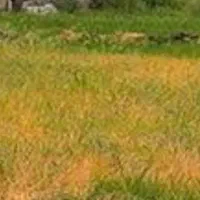 معاوضه زمین  ویلای در شهرک کتی با آپارتمان