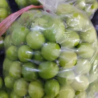 شاتوت و توت فرنگی و گوجه سبز