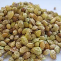 بذر خشه یونجه