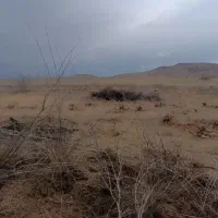زمین-مسکونی