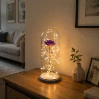 باکس شیشه ای چراغ دار مدل فلکسی